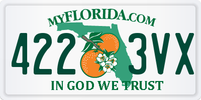 FL license plate 4223VX