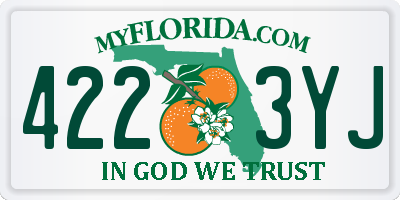 FL license plate 4223YJ