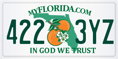 FL license plate 4223YZ