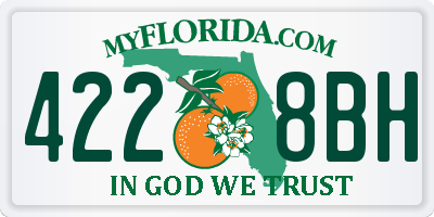FL license plate 4228BH