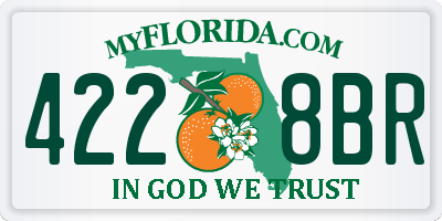 FL license plate 4228BR