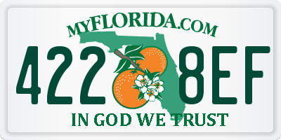 FL license plate 4228EF