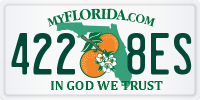FL license plate 4228ES