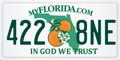 FL license plate 4228NE