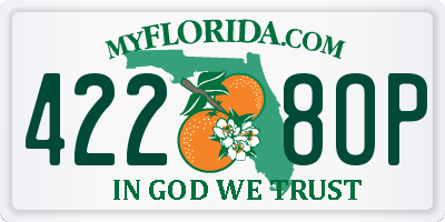 FL license plate 4228OP