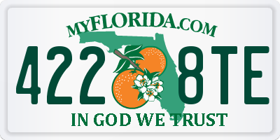 FL license plate 4228TE