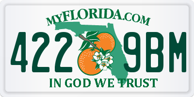 FL license plate 4229BM