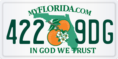 FL license plate 4229DG