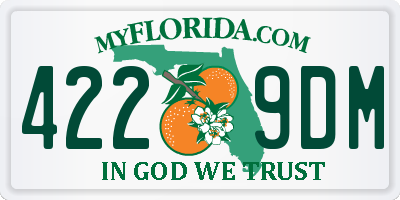 FL license plate 4229DM