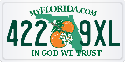 FL license plate 4229XL