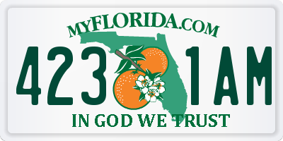 FL license plate 4231AM