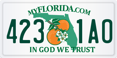FL license plate 4231AO