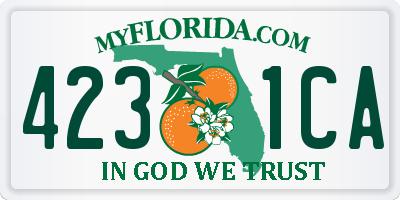FL license plate 4231CA