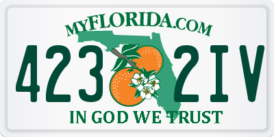 FL license plate 4232IV