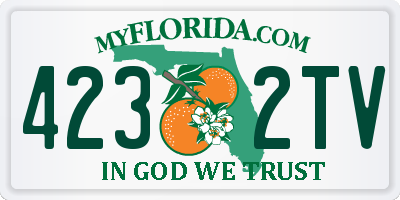 FL license plate 4232TV