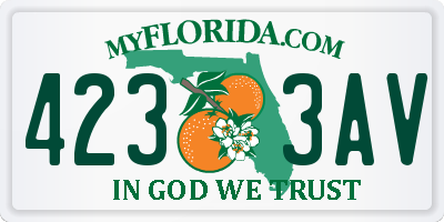 FL license plate 4233AV