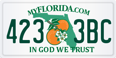 FL license plate 4233BC