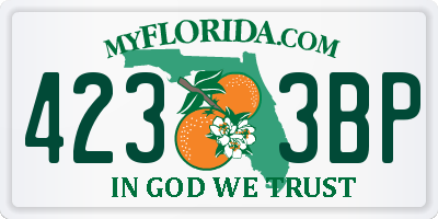 FL license plate 4233BP