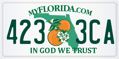 FL license plate 4233CA