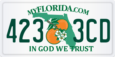 FL license plate 4233CD