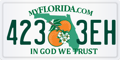 FL license plate 4233EH