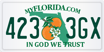 FL license plate 4233GX
