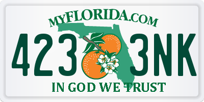 FL license plate 4233NK