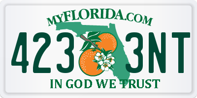 FL license plate 4233NT
