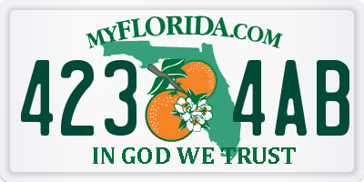 FL license plate 4234AB