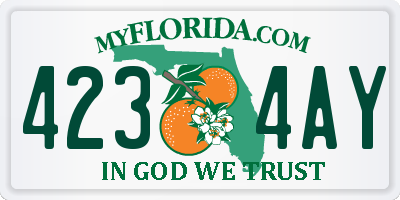 FL license plate 4234AY