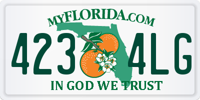 FL license plate 4234LG