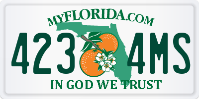 FL license plate 4234MS