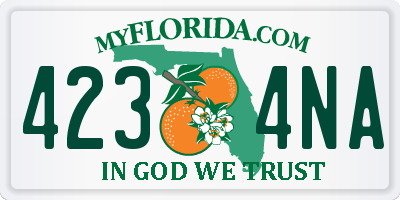 FL license plate 4234NA
