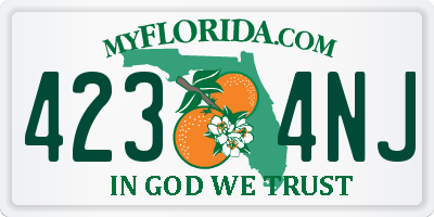FL license plate 4234NJ