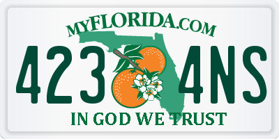 FL license plate 4234NS