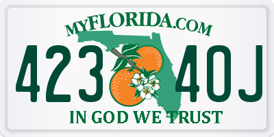 FL license plate 4234OJ