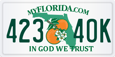 FL license plate 4234OK