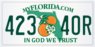 FL license plate 4234OR