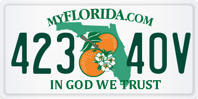 FL license plate 4234OV