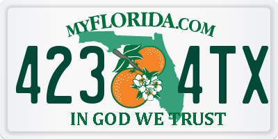 FL license plate 4234TX