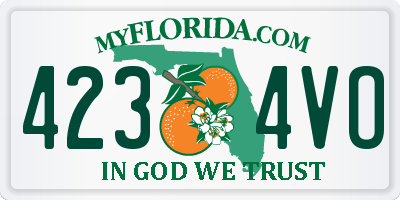 FL license plate 4234VO