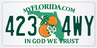 FL license plate 4234WY