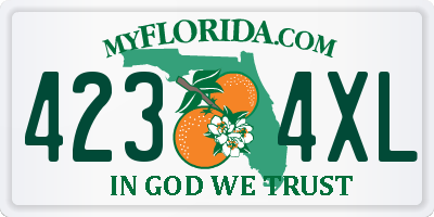 FL license plate 4234XL