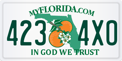 FL license plate 4234XO