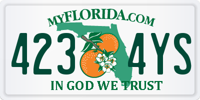FL license plate 4234YS