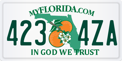 FL license plate 4234ZA