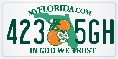 FL license plate 4235GH