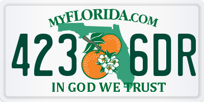 FL license plate 4236DR