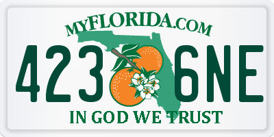 FL license plate 4236NE