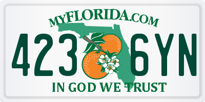FL license plate 4236YN